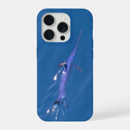 Schwertfisch iPhone Hülle (Rückseite)