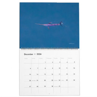 Schwertfisch-Kalender 2026 Kalender