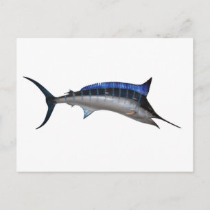 Schwertfisch Postkarte