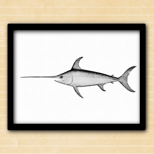 Schwertfisch schwarz-weiße Vintage-Illustration Poster