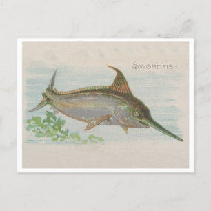 Schwertfisch Vintage Lustration Postkarte