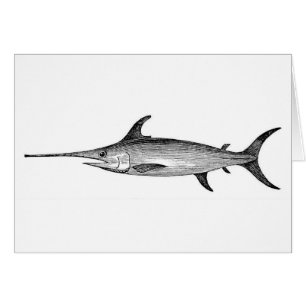 Schwertfische kardieren, wissenschaftliche