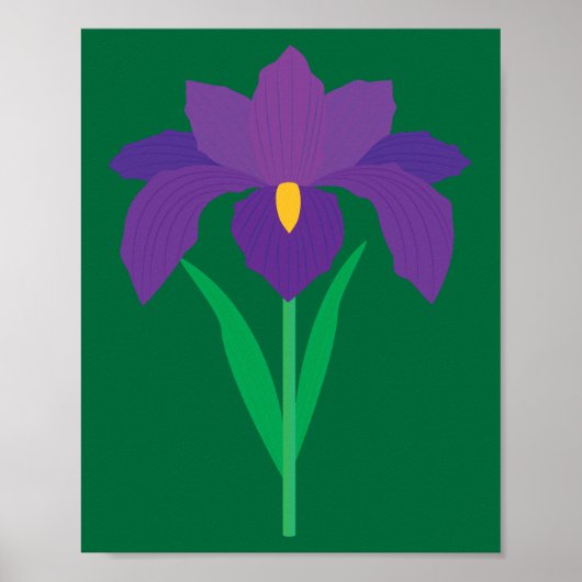Schwertlilie Poster (Vorne)