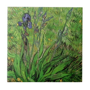 Schwertlilie von Vincent van Gogh, Vintage Gartenb Fliese