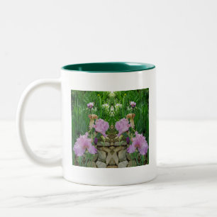 Schwertlilie zweifarbige tasse