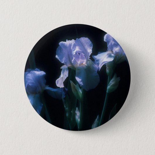 Schwertlilien bei Dämmerung Button (Vorderseite)
