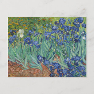 Schwertlilien Blau Grün Gelb Van Gogh Postkarte