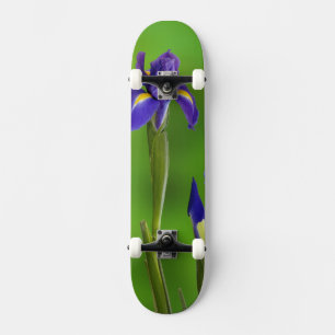 Schwertlilien-Blumen Skateboard