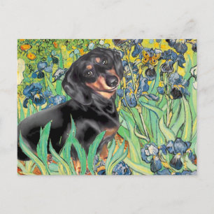Schwertlilien - Dachsund (BT4) Postkarte
