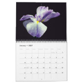 Schwertlilien-Fotografie Kalender (Jan 2027)