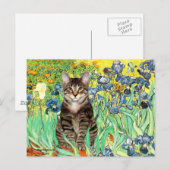 Schwertlilien - Getigerte Tigerkatze 30 Postkarte (Vorne/Hinten)