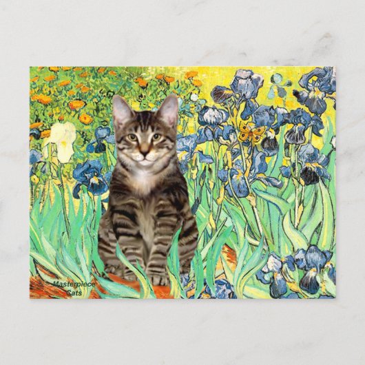 Schwertlilien - Getigerte Tigerkatze 30 Postkarte (Vorderseite)