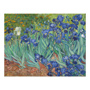 Schwertlilien Vincent Van Gogh Fotodruck
