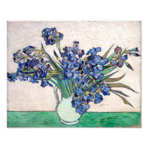 Schwertlilien Vincent van Gogh Fotodruck