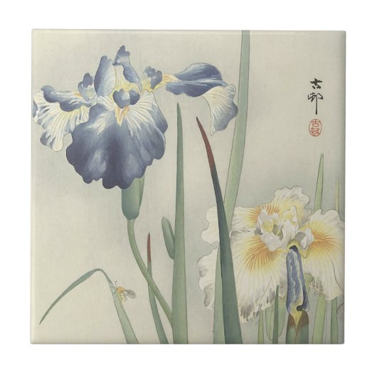Schwertlilien von Ohara Koson Fliese (Vorderseite)