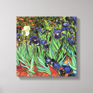 Schwertlilien von Van Gogh Leinwand-Fine-Art-Druck Leinwanddruck