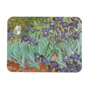 Schwertlilien von Vincent van Gogh Magnet