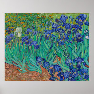 Schwertlilien von Vincent Van Gogh Poster