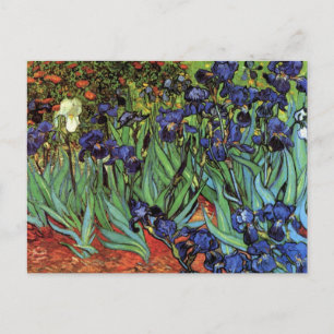 Schwertlilien von Vincent van Gogh, Vintage-Garten Postkarte