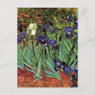 Schwertlilien von Vincent van Gogh, Vintage-Garten Postkarte