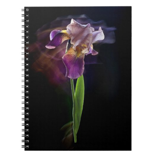 Schwertlilienblüte auf schwarzem Hintergrund. Lang Notizblock (Vorderseite)