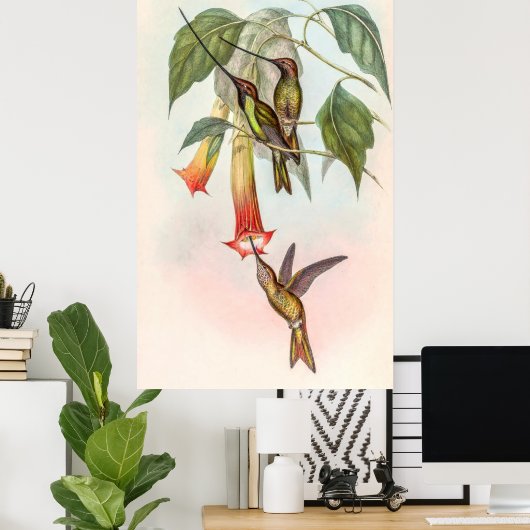 Schwertschwanz Poster (Heimbüro)