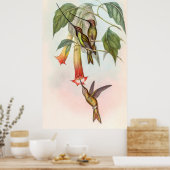 Schwertschwanz Poster (Küche)