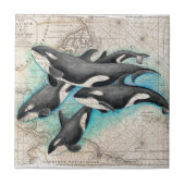 Schwertwal-Karten-Atlas Fliese (Vorderseite)