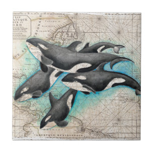 Schwertwal-Karten-Atlas Fliese