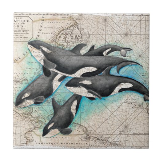 Schwertwal-Karten-Atlas Fliese (Vorderseite)