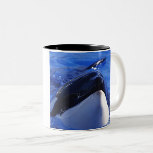 Schwertwal. Killerwal Zweifarbige Tasse (VorderseiteRechts)