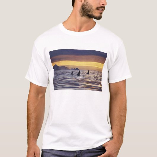 Schwertwal oder Mörderwal T-Shirt (Vorderseite)