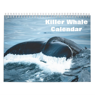 Schwertwal Orcas 2026 Kalender
