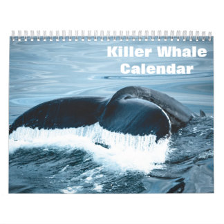 Schwertwal Orcas 2026 Kalender