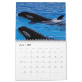 Schwertwal Orcas 2026 Kalender (Mär 2027)