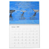 Schwertwal Orcas 2026 Kalender (Jan 2027)