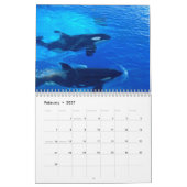 Schwertwal Orcas 2026 Kalender (Feb 2027)