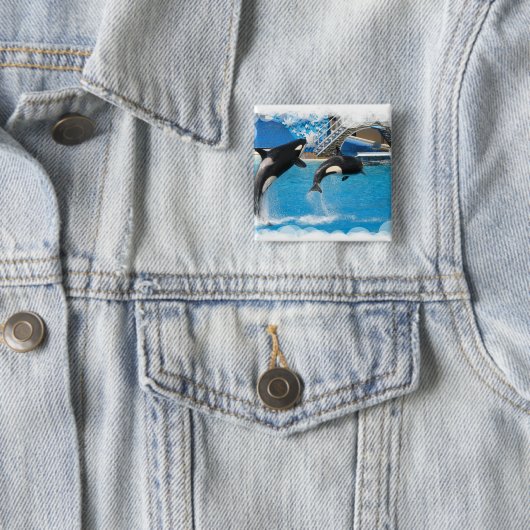 Schwertwal-Wal-quadratischer Knopf Button (Beispiel)