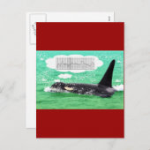 Schwertwal-Wal-Weihnachtsgrünes Seefrohe Feiertagspostkarte (Vorne/Hinten)