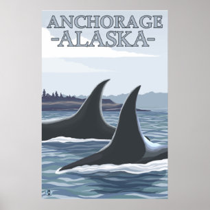 Schwertwal-Wale #1 - Anchorage, Alaska Poster