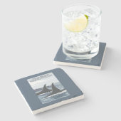 Schwertwal-Wale #1 - Schwertwale Insel, Washington Steinuntersetzer (Seitenansicht)