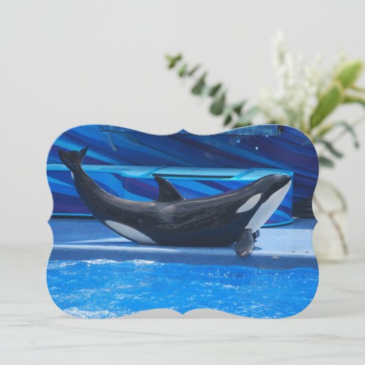 Schwertwal-Wale Einladung (Stehend Vorderseite)