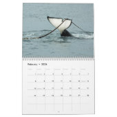 Schwertwale ~ 2012 Kalender (Feb 2026)