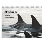 Schwertwale ~ 2012 Kalender (Titelbild)