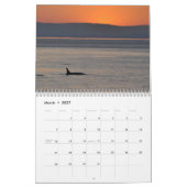 Schwertwale ~ 2012 Kalender (Mär 2027)
