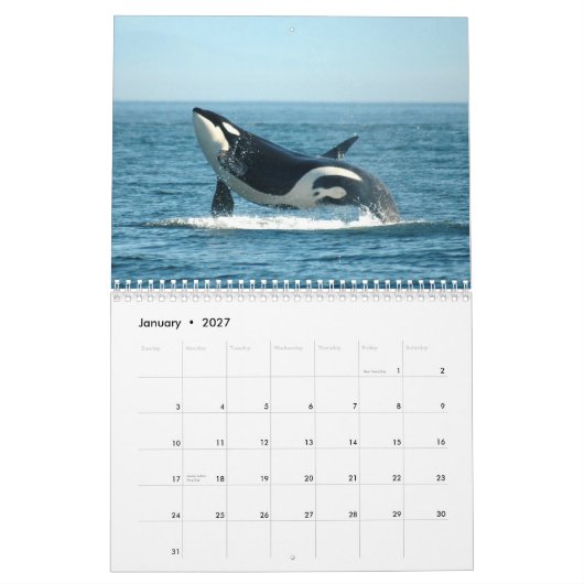 Schwertwale ~ 2012 Kalender (Jan 2027)