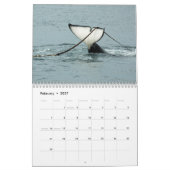 Schwertwale ~ 2012 Kalender (Feb 2027)