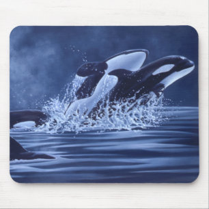 Schwertwale Mousepad