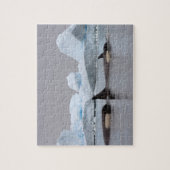 Schwertwale (Orcas), Orcinus orca, Gruppe Puzzle (Vertikal)