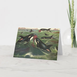 Schwertwale und Orcas, Vintage Meeressäuger Karte